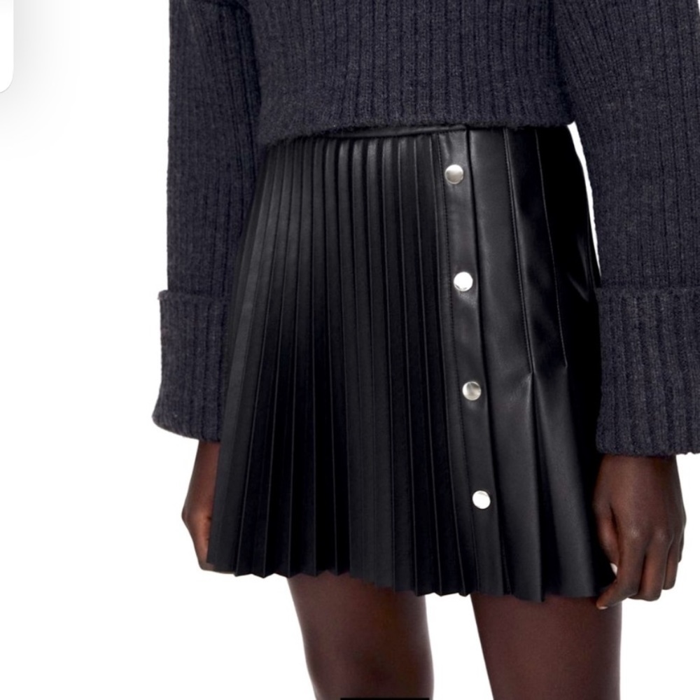 NWT Zara pleated skirt